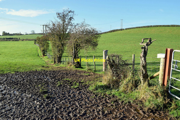 Photo 6"x4" A muddy field, Drumconnelly Seskinore c2021