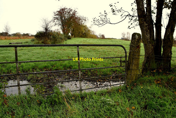 Photo 6"x4" Water lying behind a gate, Deroran Beragh c2021