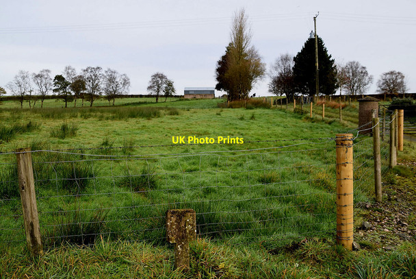 Photo 6"x4" Deroran Townland Beragh c2021