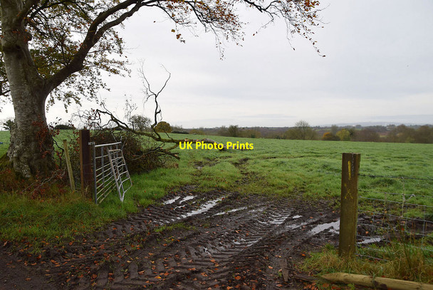 Photo 6"x4" Muddy entrance to field, Bencran Beragh c2021