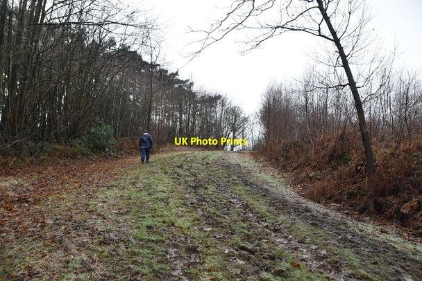Photo 6"x4" Muddy bridleway Bedgebury Cross c2021