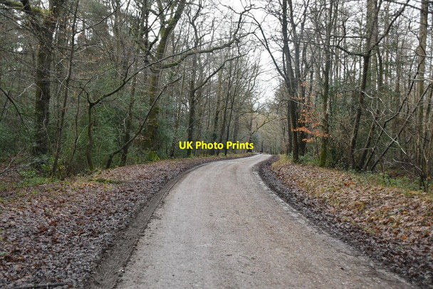 Photo 6"x4" National Cycleroute 18 Bedgebury Cross c2021