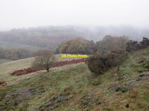 Photo 6"x4" On Birtley Knoll Birtley\/SO3669 c2021