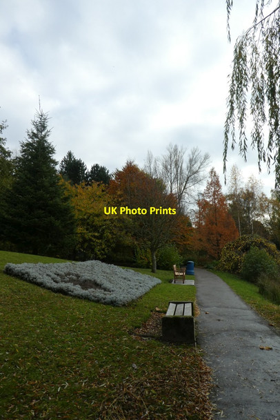 Photo 6"x4" Path near Central Hall Heslington c2021