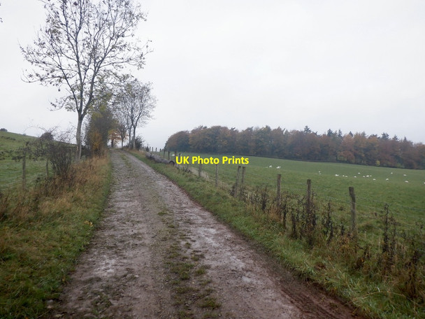 Photo 6"x4" Farm road, Butthouse Highway\/SO4549 c2021