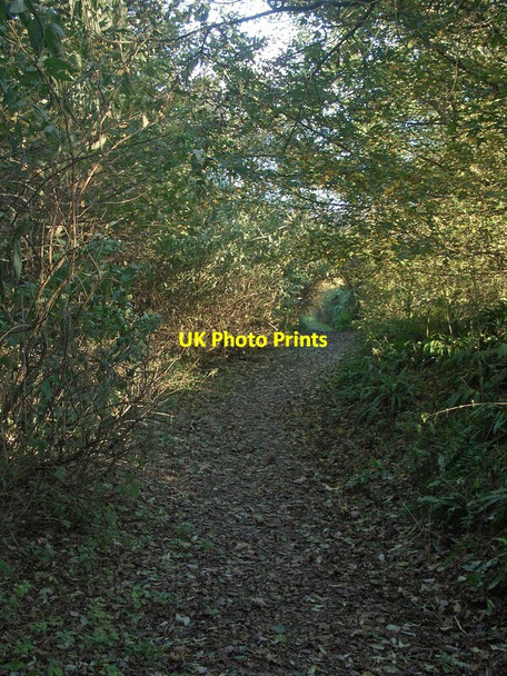 Photo 6"x4" Public footpath in woodland east of South Cornelly South Cornelly c2021