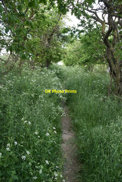Photo 6"x4" Icknield Way Trail Great Chesterford c2021 P1