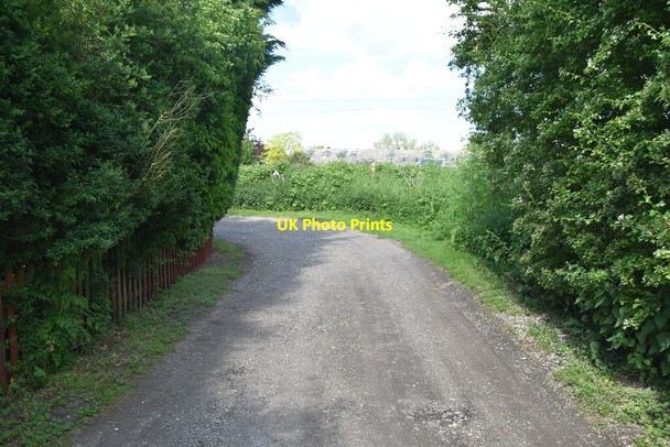 Photo 6"x4" Icknield Way Trail Great Chesterford c2021 P1