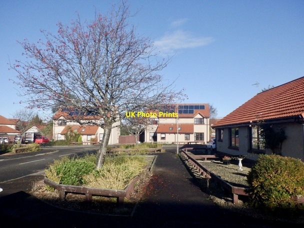Photo 6"x4" Vinefields, Easter Pencaitland New Town\/NT4470 c2021