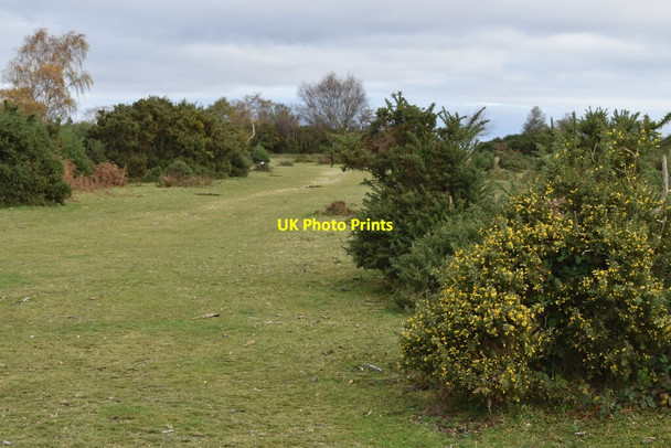 Photo 6"x4" Path towards Godshill Cricket Pitch Godshill\/SU1714 c2021