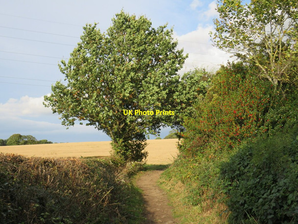 Photo 6"x4" Public bridleway near Harrogate Harrogate c2021