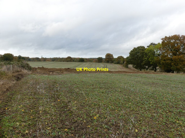 Photo 6"x4" View from footpath near Churchyard entrance Swanton Hill c2021
