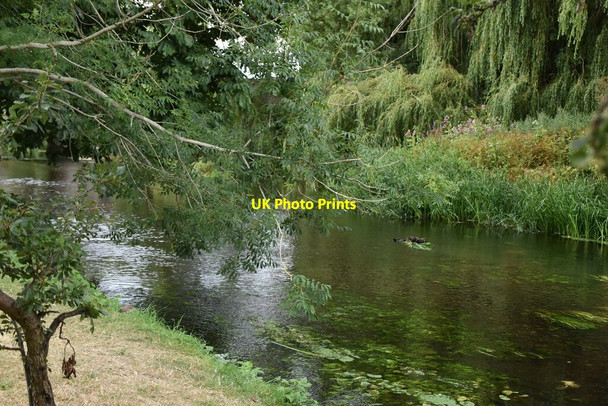 Photo 6"x4" River Great Stour Kempe's Corner c2020