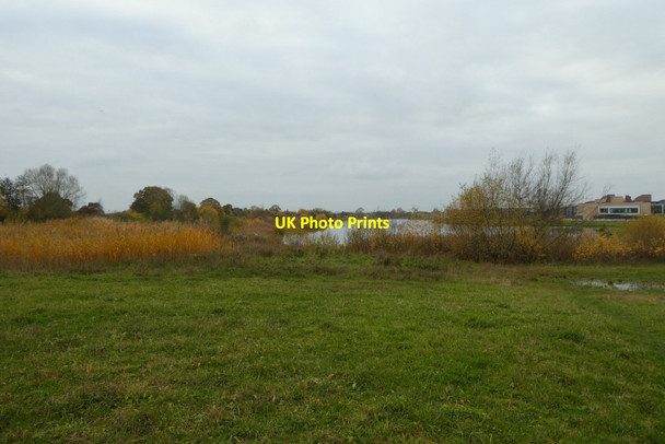 Photo 6"x4" East end of the lake Grimston\/SE6451 c2021