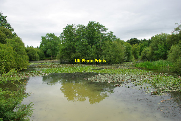 Photo 6"x4" Gatwick Lake, Riverside Garden Park, Horley Horley\/TQ2843 c2010