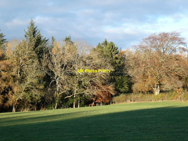 Photo 6"x4" Autumn colours in Gallowsbank Wood Hexham c2021