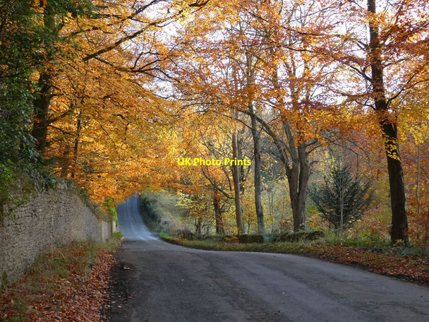 Photo 6"x4" The road to the Shire Hexham c2021