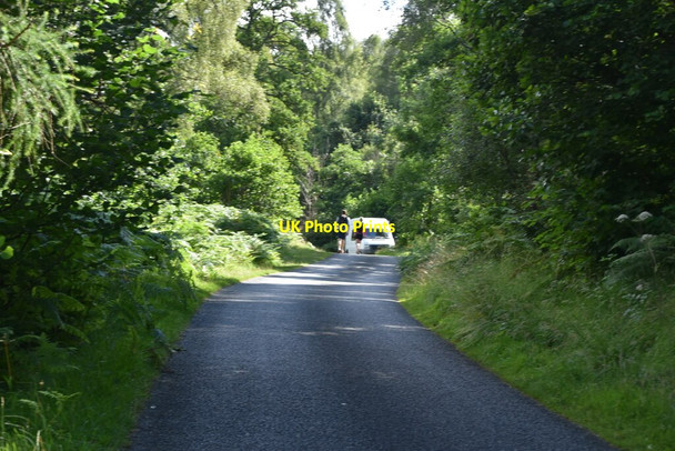 Photo 6"x4" Minor road by River Tummel Faskally c2021