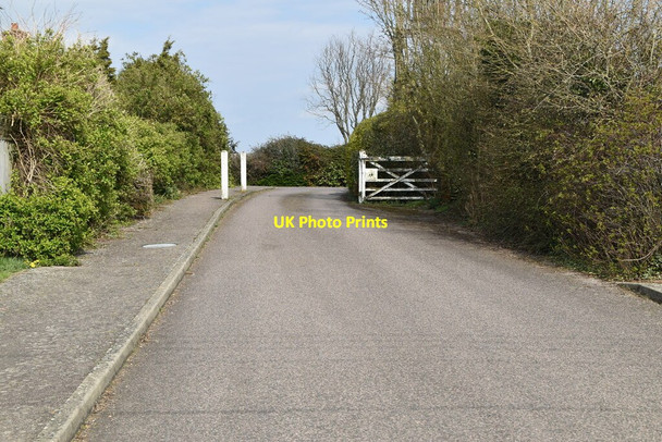 Photo 6"x4" Hop Garden Appledore Heath c2021