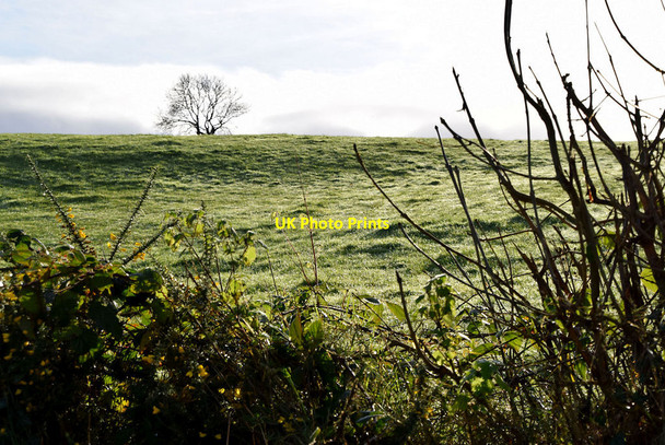 Photo 6"x4" Derrybard \/ Gargrim Fintona c2021