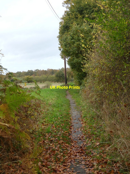 Photo 6"x4" North on footpath Swanton Hill c2021