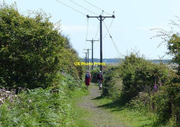 Photo 6"x4" Fife Coastal Path at Temple Hill Kirkton of Largo or Upper Largo c2019