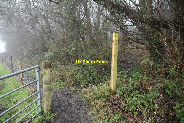 Photo 6"x4" Waymarker near Boarhill Goathurst Common c2021