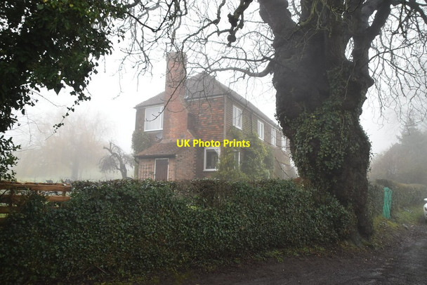 Photo 6"x4" Boarhill Cottage Goathurst Common c2021