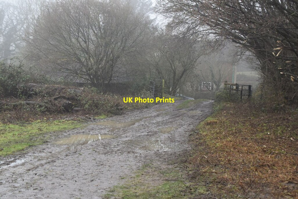 Photo 6"x4" Track to Chains Farm Goathurst Common c2021