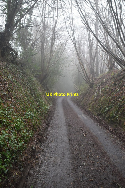 Photo 6"x4" Descending Yorks Hill Goathurst Common c2021