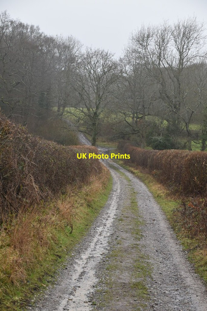 Photo 6"x4" Obriss Farm track Puddledock\/TQ4650 c2021