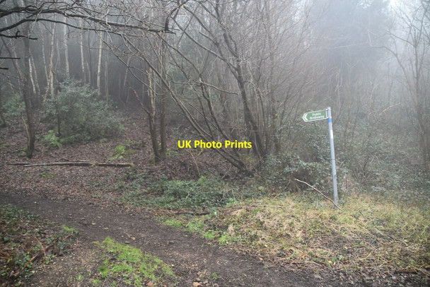 Photo 6"x4" Bridleway near Chartwell French Street c2021