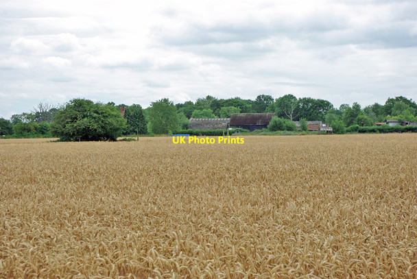 Photo 6"x4" Moat Farm, 2010 Horley\/TQ2843 c2010