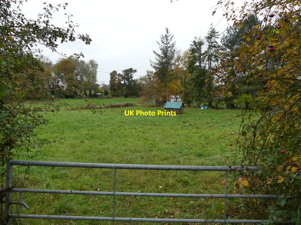 Photo 6"x4" Pasture with hen coop Banningham c2021