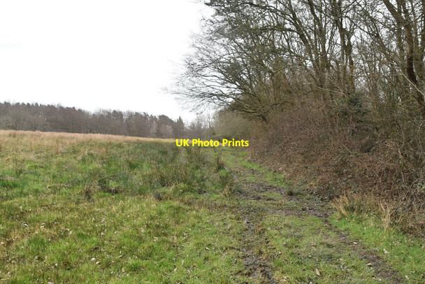 Photo 6"x4" Footpath by Pond Wood Battle\/TQ7416 c2021