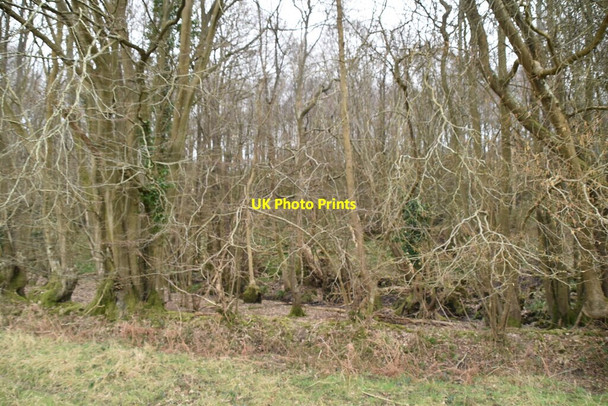 Photo 6"x4" Scrubs Wood Battle\/TQ7416 c2021