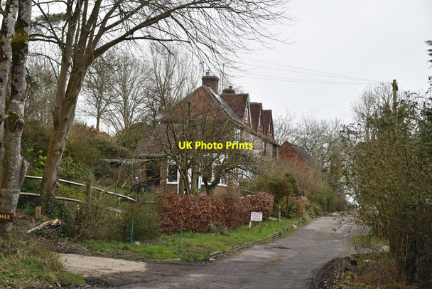 Photo 6"x4" Woodsdale Farm Cottages Battle\/TQ7416 c2021