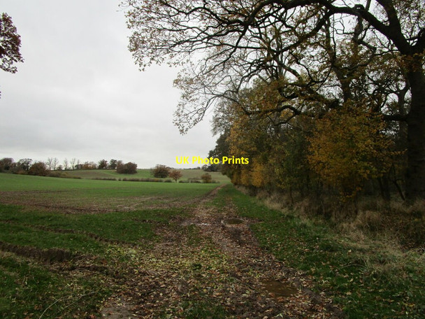 Photo 6"x4" Footpath alongside Old Park Wood Cookhill c2021