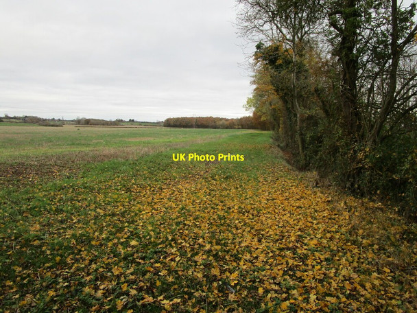 Photo 6"x4" Grass field near Naunton Beauchamp Naunton Beauchamp c2021