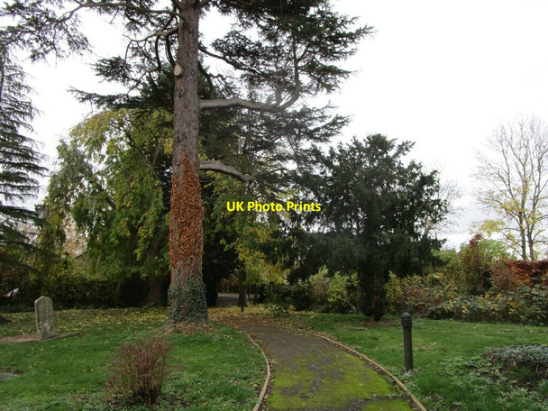 Photo 6"x4" Churchyard path at Naunton Beauchamp Naunton Beauchamp c2021
