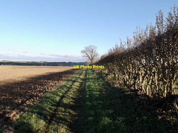Photo 6"x4" Path to Binbrook Binbrook c2021