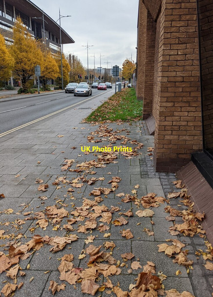 Photo 6"x4" Fallen leaves on a city centre pavement, Newport Newport\/Casnewydd c2021