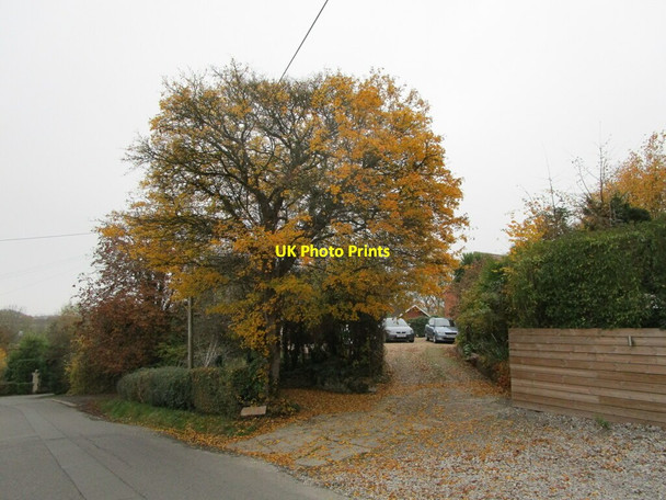 Photo 6"x4" Autumn, Old Hill, Flyford Flavell Flyford Flavell c2021
