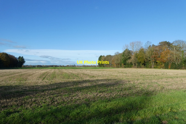 Photo 6"x4" Field beside Sandy Lane Moor End\/SE6656 c2021