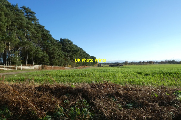 Photo 6"x4" Edge of High Plumps Wood Moor End\/SE6656 c2021
