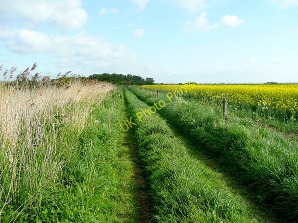 Photo 6"x4" South Carr, East Ferry 3 East Ferry c2009