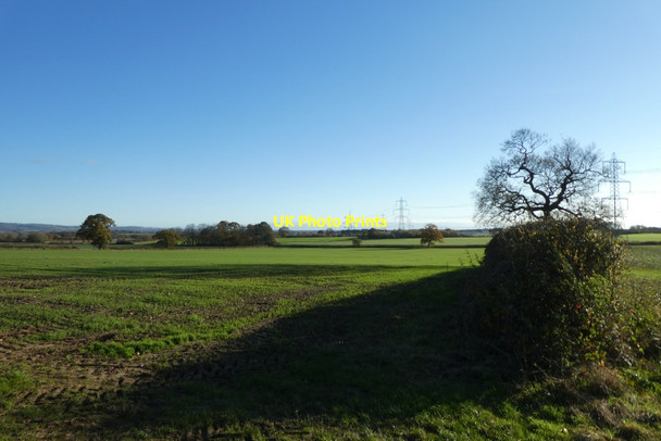 Photo 6"x4" Hedgerow above Bossall Dikes Bossall c2021