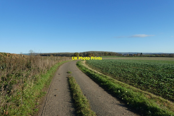 Photo 6"x4" Lane to Wood House Bossall c2021
