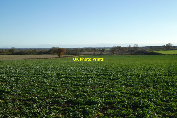 Photo 6"x4" Farmland near Wood House Bossall c2021