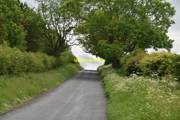 Photo 6"x4" Ascending Crouch Hill Kelshall c2021